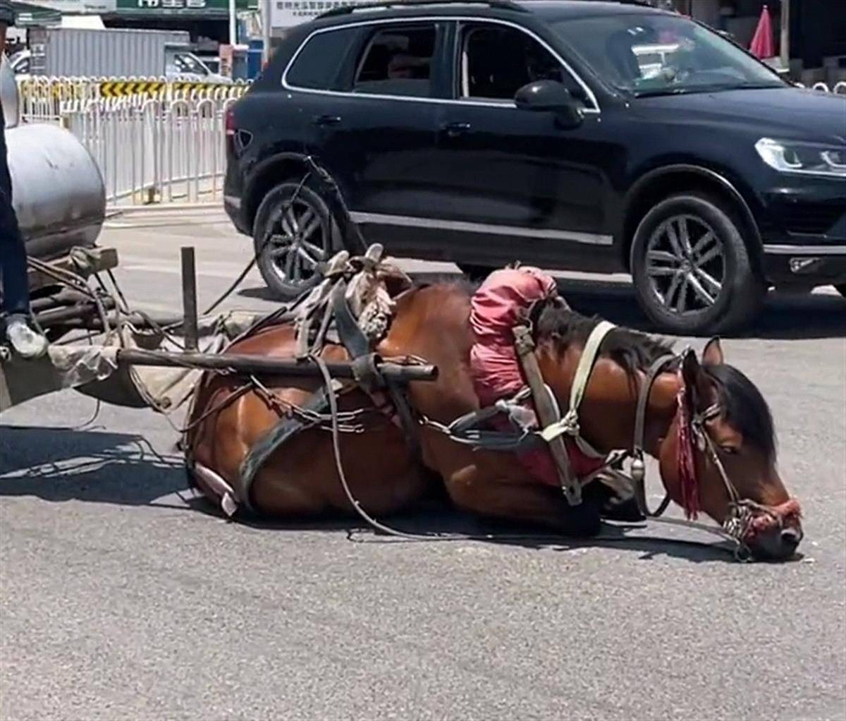 免费精品国产自在在线观看