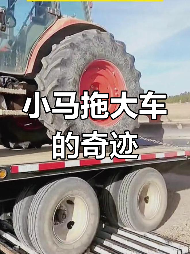 日本综艺摄影师挑战不心动朋友被电