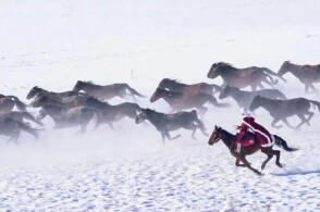 自拍偷自拍亚洲精品熟妇人