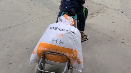 昭和时代在线观看