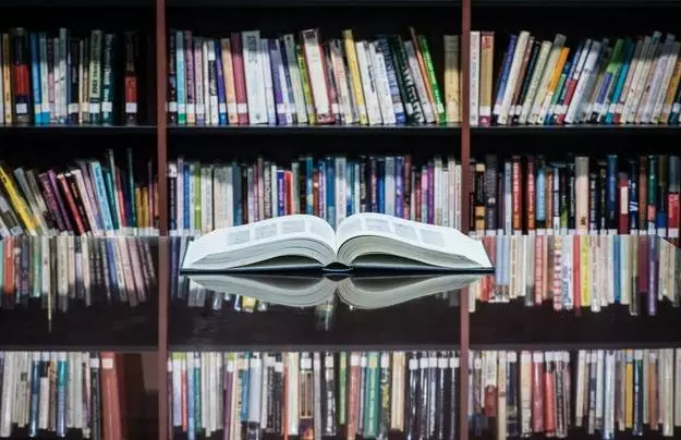 樱桃网址入口yingtao885 请告诉我您的樱桃具体需求