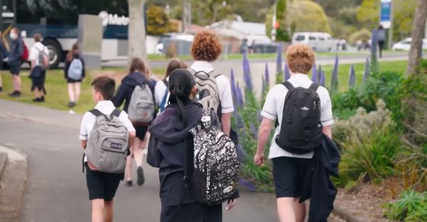 樱桃网址入口yingtao885 请告诉我您的樱桃具体需求