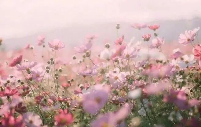 插妈妈的穴 插妈插妈如果你有其他问题