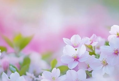 吃瓜影视在线 尤其是吃瓜海外剧集操作简单