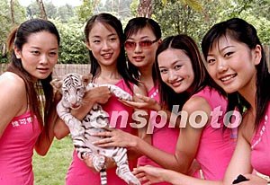 惊声尖笑在线 惊声尖笑请注意：请尊重版权