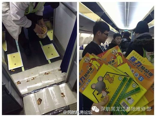 国产日产韩国精品视频 