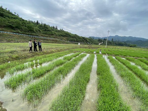 尤物影院满18点击进入