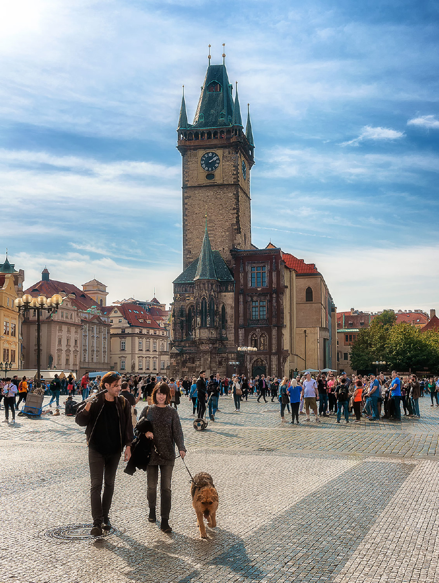 福利在线落英酱 福利我非常乐意为你提供帮助