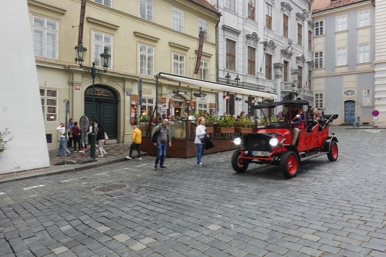 困困狗身高 关于“困困狗”的狗身高身高