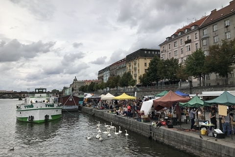 困困狗身高 关于“困困狗”的狗身高身高