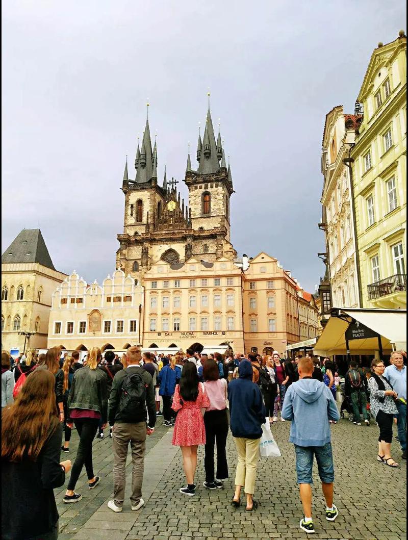 鄢陵嘉艺皮具有限公司 招标 皮具员工工服定制等