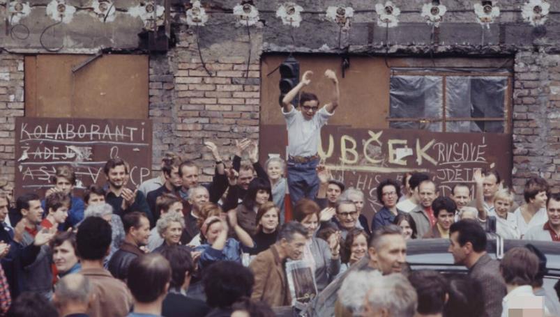 虐猫视频 可能与其心理问题相关