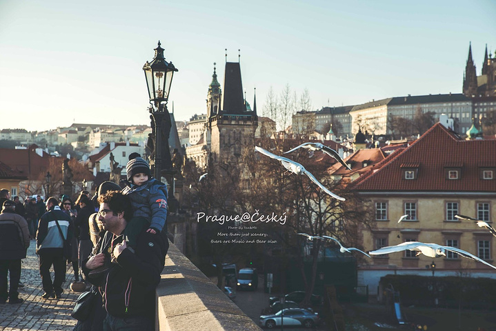 海角平台在线入口 多层级话题订阅等功能