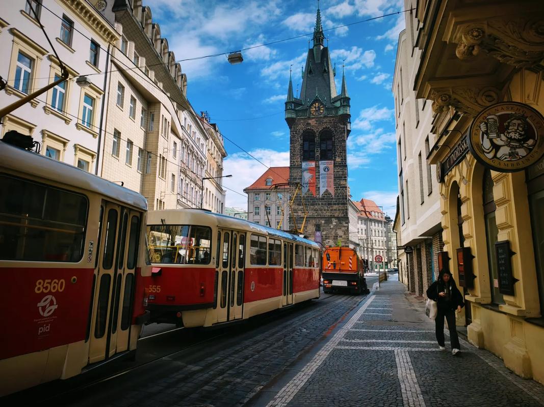 sakura light视频 常有以樱花为造型的灯饰