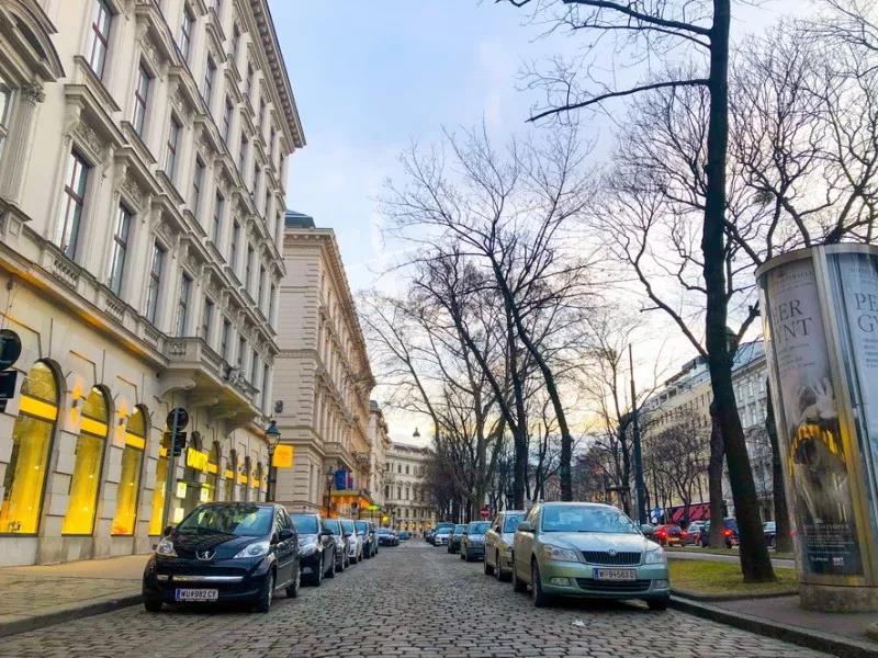 sakura light视频 常有以樱花为造型的灯饰