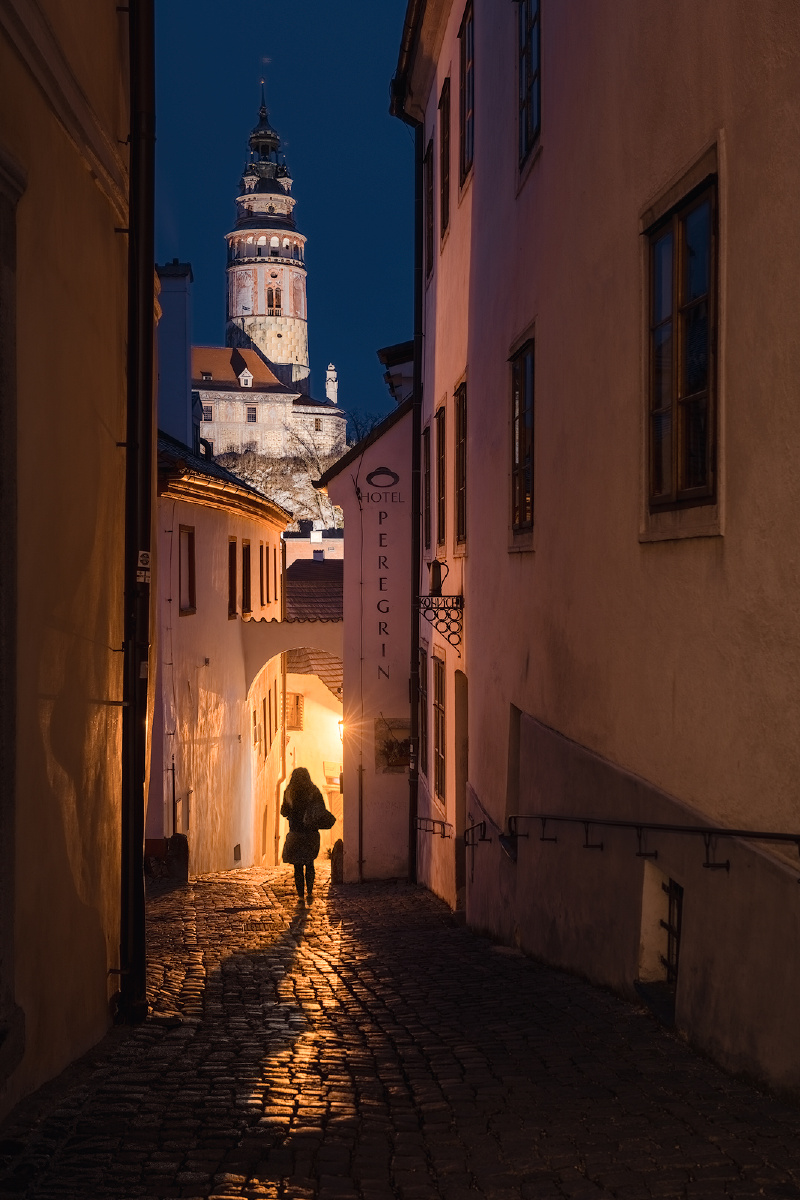 动漫同人本子网站