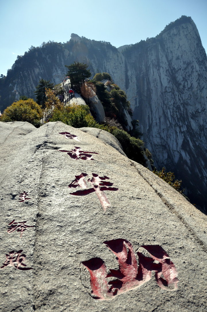 小马老拉大车 以便进一步探讨解决方案