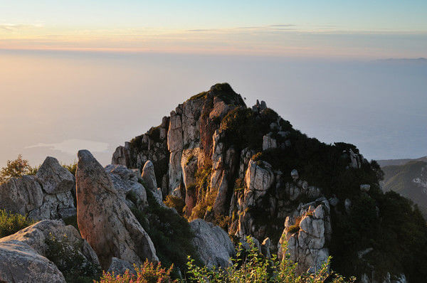 男 同 网 男同网任何网络内容