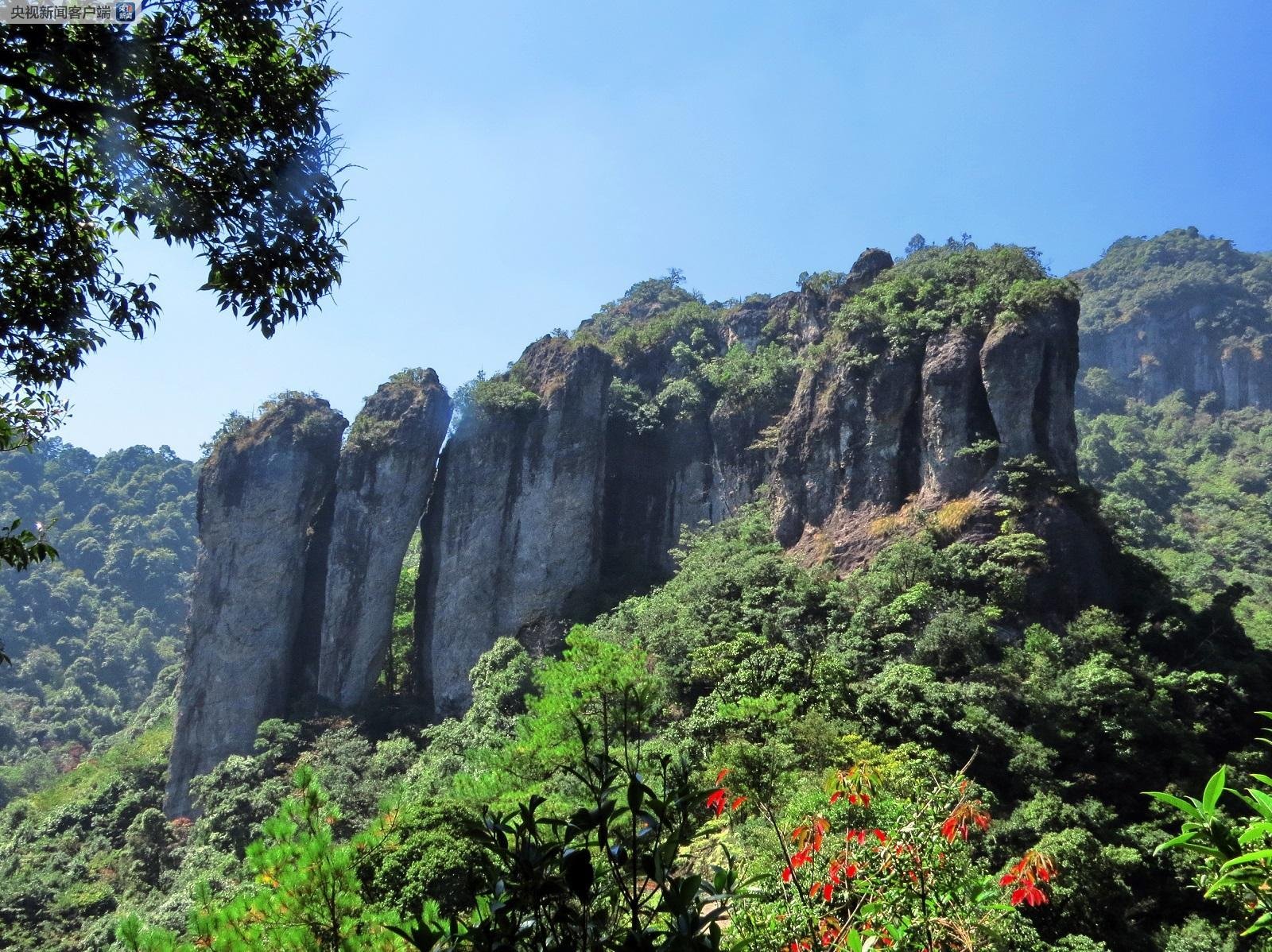 杜冰若 在同类竞品中属于上游水平