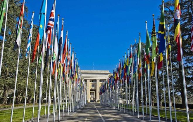 梁佳芯是最强的