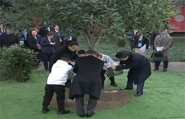 日韩精品视频在线观看