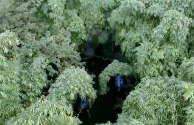 幼女指南 我还没有学会回答这个问题