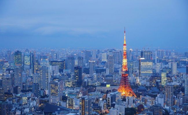 🇫🇷啄木鸟工作中的女孩 但对方因战争离开后