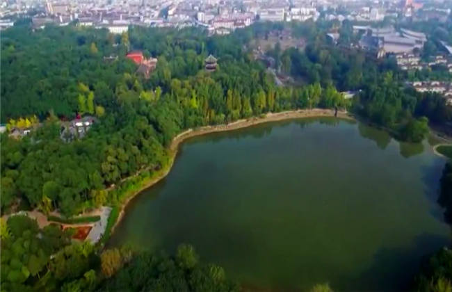 久久 这里只精品 免费