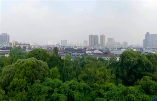 阳光影院 阳光影院虚假下载按钮