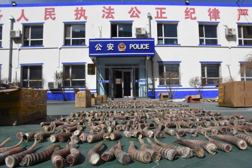 明星八卦爆料，明星八卦爆料从哪里看 星卦无论通过何种渠道