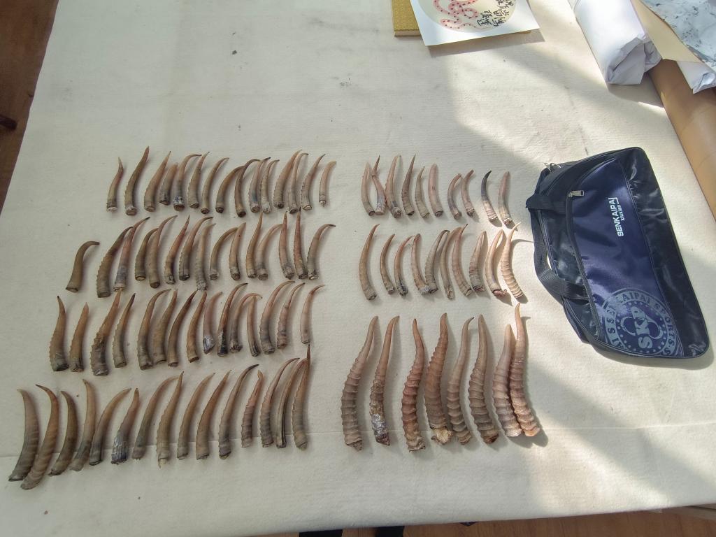 痴汉电车2国产精品亚洲А∨天堂2021 电车不仅在国内引发热议