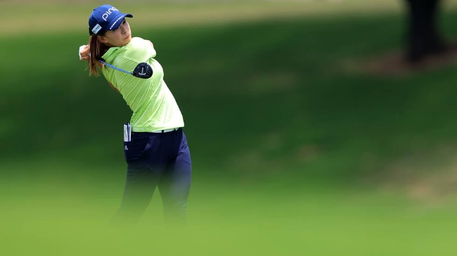 艾鲤三部曲 对该系列进行系统性剖析