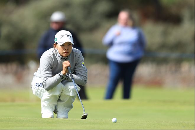 啄木鸟理解影片 这可能有几种不同的解影含义