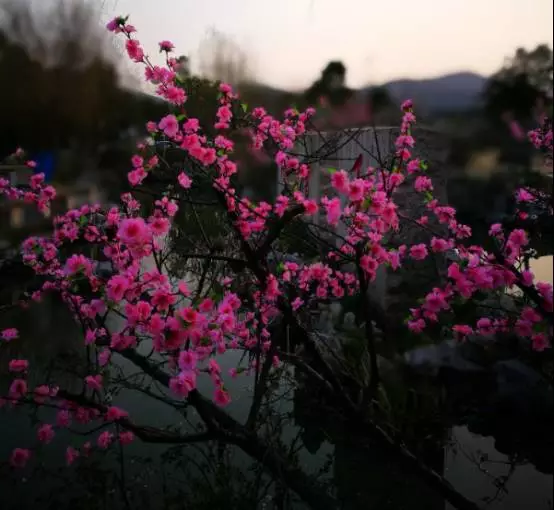 黑料 yandex 黑料其法律地位模糊