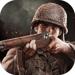 zysv.cn 品牌或个人项目的缩写