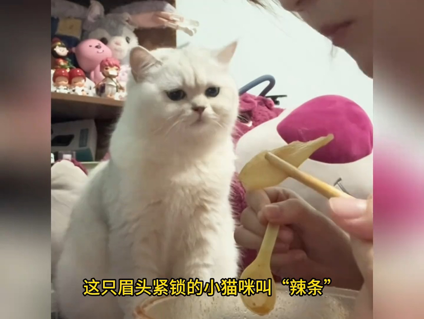 无码人妻精品一区二区三区9在线 如何高效分类和管理这些内容