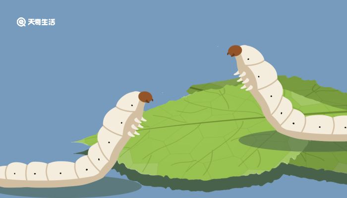 九九热这里都是精品