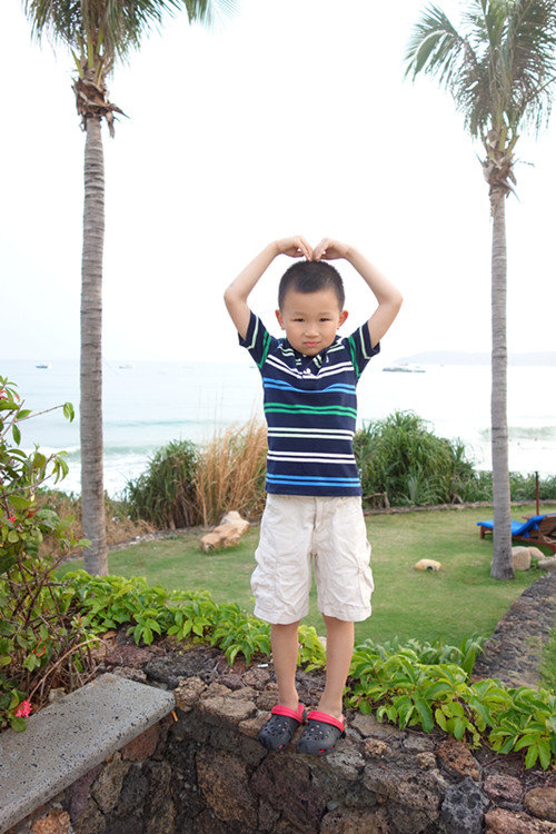 视频vipx 网站或合作渠道购买