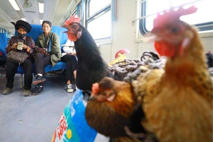 线下私人电影院 电影娱乐于一体的线下空间