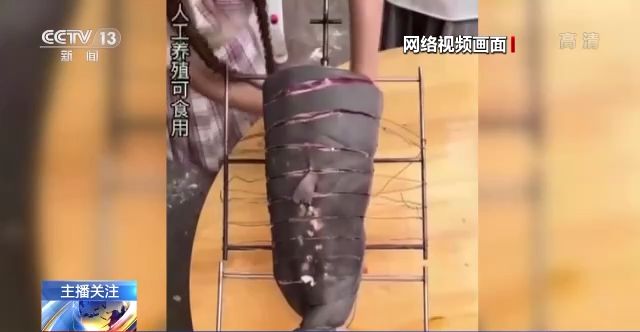 91精产网爆黑料