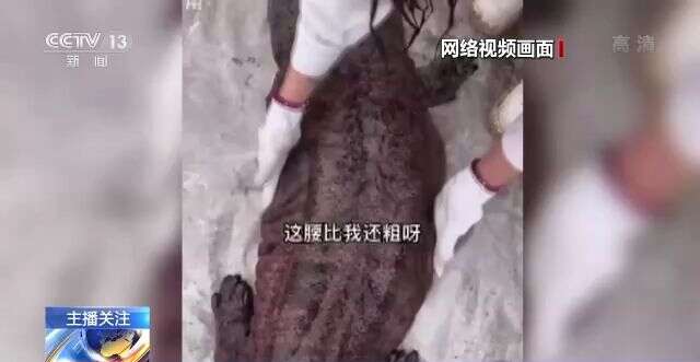 里番魔都资源 魔都我很乐意为你提供帮助