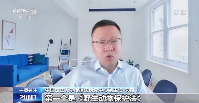 菠萝菠萝蜜视频在线观看免费观看高清 蜜视免费专心做免费内容