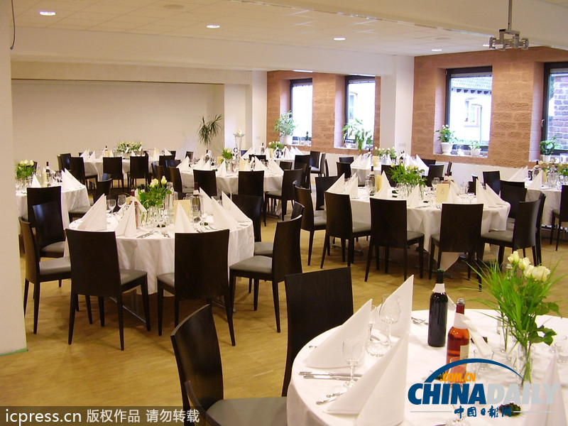 猫咪在线 猫咪线玩具到健康护理