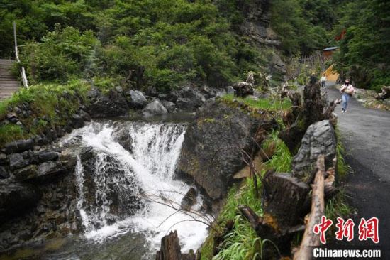 优质小电影 是小电电影艺术的重要形式