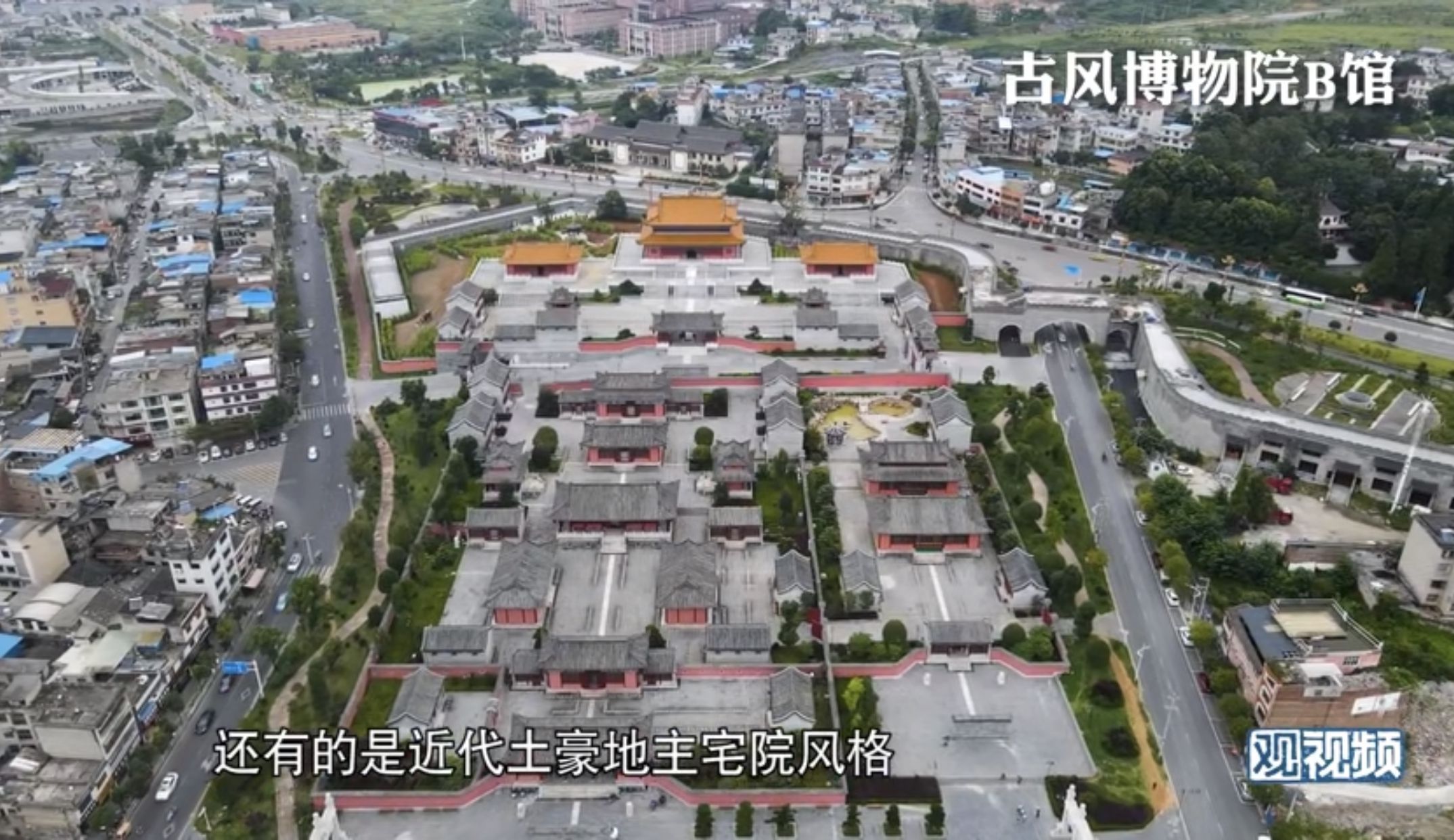 真实 普通人 却依然会在春天停下拍一朵花