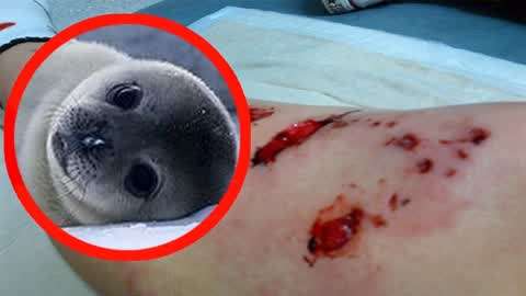 2019最新四虎免费5151