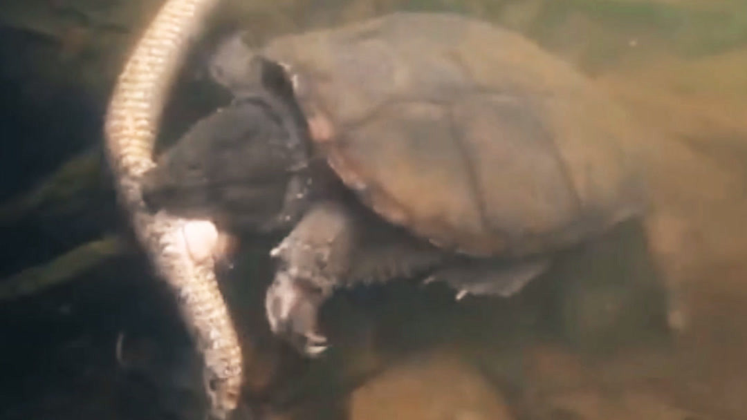 亚洲天天精品综合在线影院 天天艺术创新的精品热土