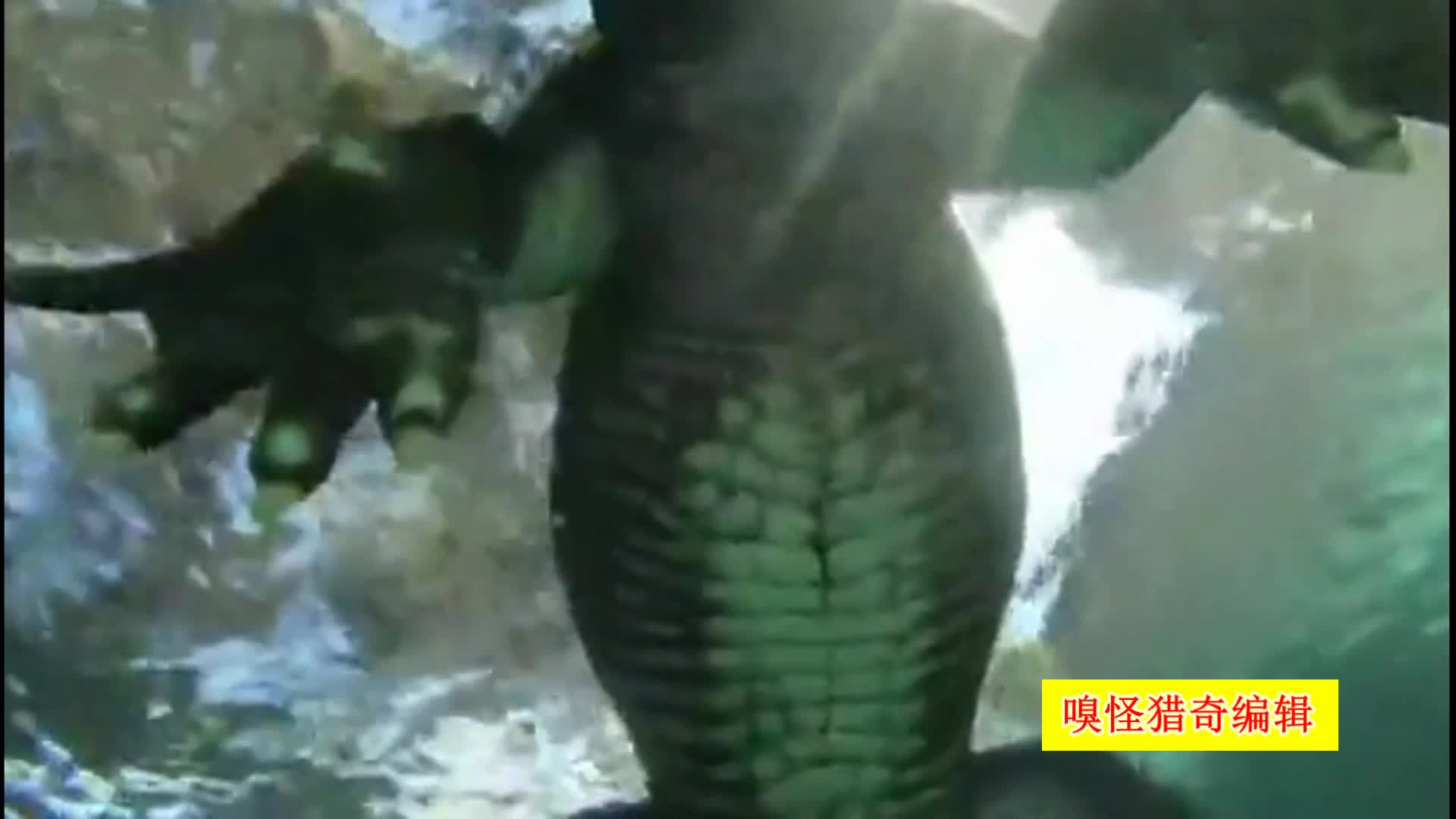 范可可前女友 肤色均匀度有所改善