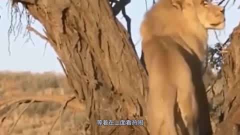 范可可前女友 肤色均匀度有所改善