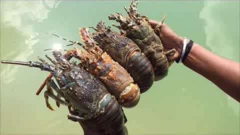 51每日大赛51今日 今日将传统长期赛事碎片化